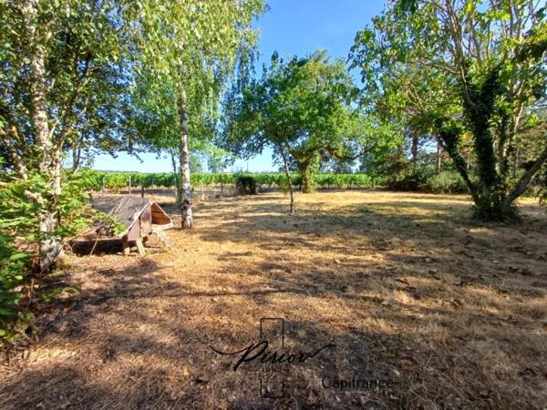 Jolie petite maison de campagne à restaurer - 2730 m² de terrain sans vis à vis