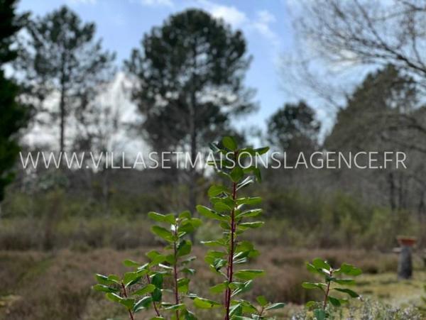 EXCLUSIVITE! Terrain non viabilisé de 800m² environ libre de constructeur ARES
