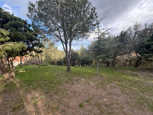 Terrain à batir de 1579 m²