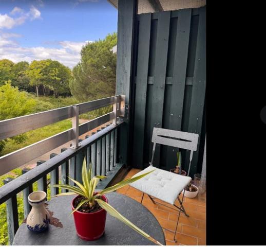 INVESTISSEMENT LOCATIF – CARBON BLANC – Résidence EHPAD Abélia - 7 % de rentabilité