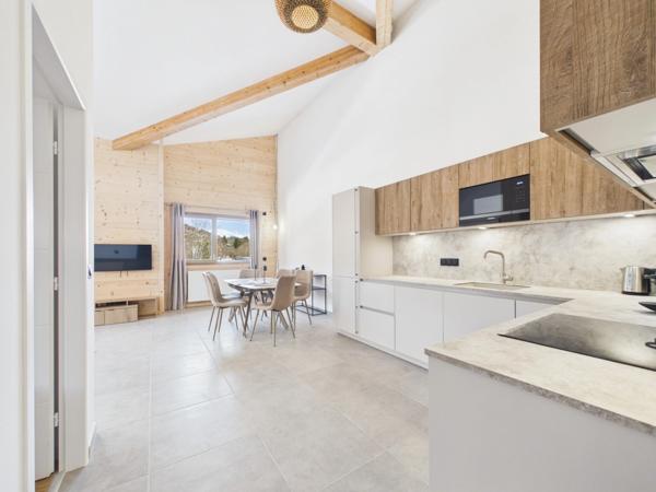 Haute Savoie (74), à vendre SAMOENS - Domaine skiable Grand Massif - Appartement T4 duplex