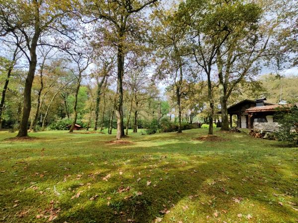 Maison Saint Paul Les Dax 7 pièce(s) 258 m2