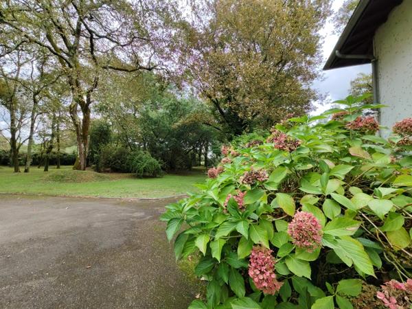 Maison Saint Paul Les Dax 7 pièce(s) 258 m2