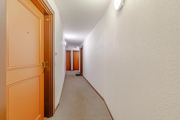 Appartement 2 pièces - 31 m²