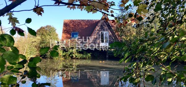 Superbe domaine arboré avec 4 gîtes