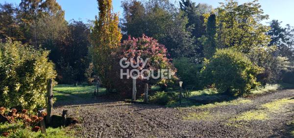 Superbe domaine arboré avec 4 gîtes