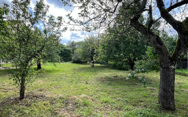 Terrain à vendre    Jouy-le-Châtel