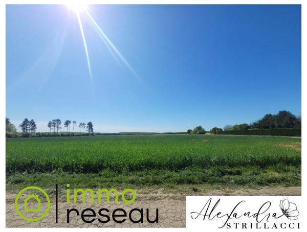 Maison à MERCY LE BAS (54960)