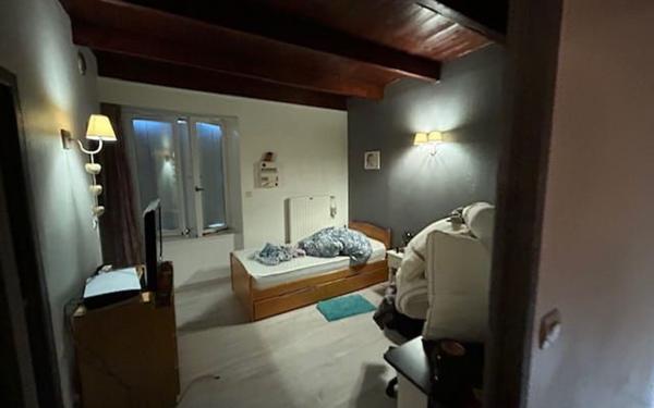 Immeuble à vendre    12 pièces •  Saint-Étienne