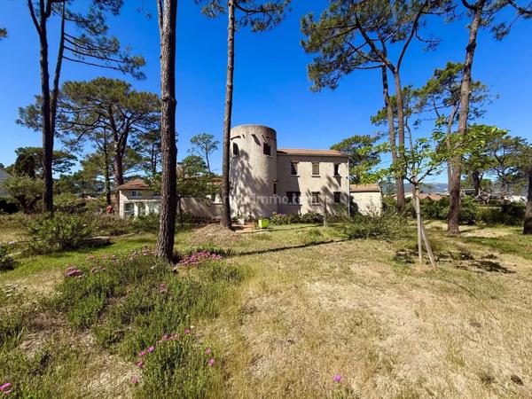 Vente                                                      Maison
                        
                     6 pièces                      204 m2                     à Bastia