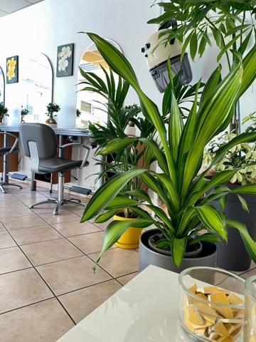 Salon de coiffure à Bordeaux Centre