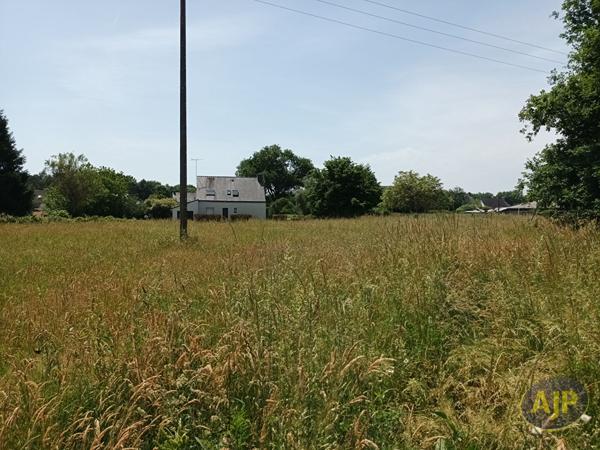 Terrains à vendre Questembert : surface de 1140 m2 à 83 600€ - AJP Immobilier Questembert