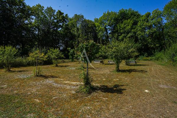 Gan Maison 7 pièces - 4 chambres et bureau - Garage, carport, Piscine terrain et bois - Calme