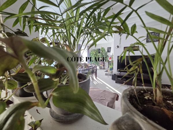 Saujon (17600) MAISON 3 PIECES - 87 m2 - SAUJON - PRIX DE VENTE 286 200€ HAI