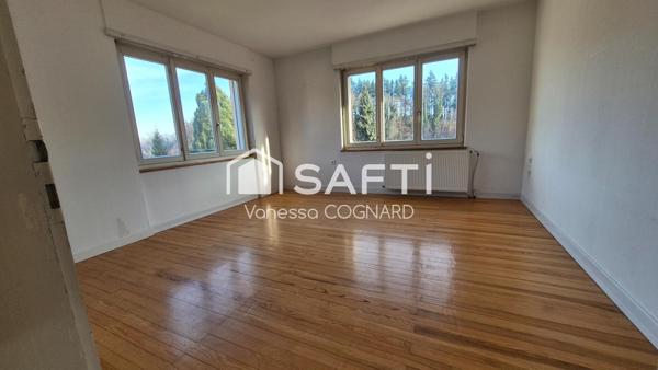 ? Une belle opportunité à Buschwiller ?