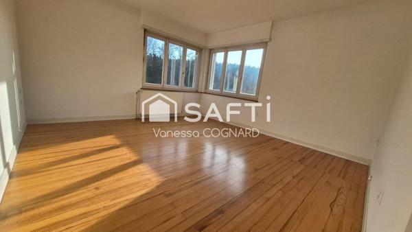 ? Une belle opportunité à Buschwiller ?