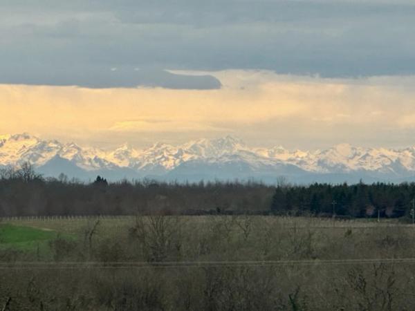 Dpt Gers (32), à vendre proche de EAUZE maison P12 de 300 m² - Terrain de 8805 m²