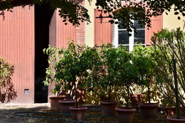 Dpt Gers (32), à vendre proche de EAUZE maison P12 de 300 m² - Terrain de 8805 m²
