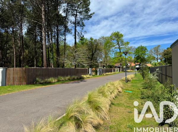 Terrain à vendre 930 m² Seignosse