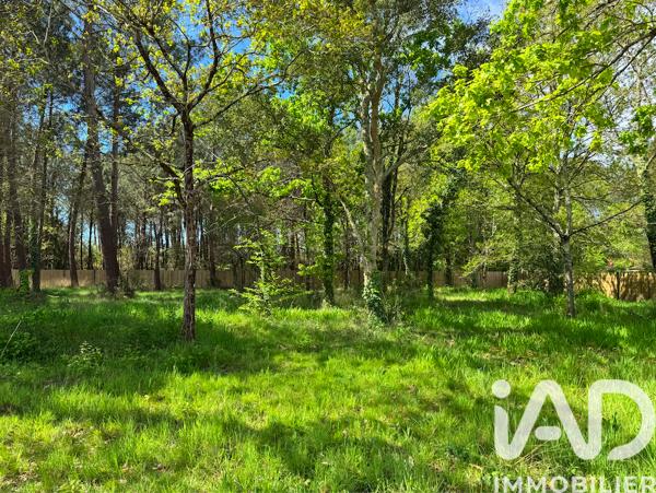 Terrain à vendre 930 m² Seignosse