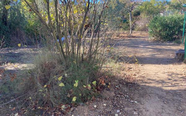 Maison à vendre    1 pièce •  Castelnau-le-Lez