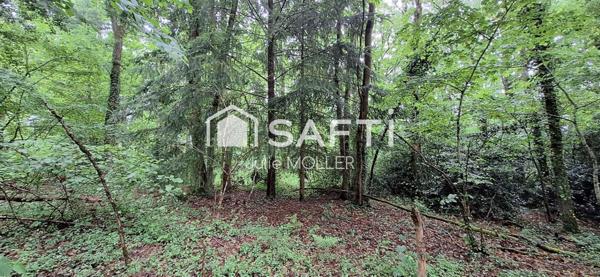 Terrain 2,5Ha dont 3000m² constructibles