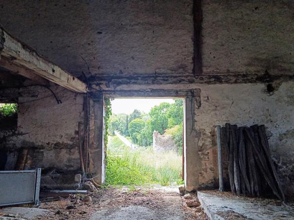 Grande maison de campagne avec terrain et dépendances – Idéale pour centre équestre ou petite exploitation