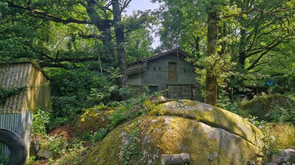Maison avec piscine et dépendance