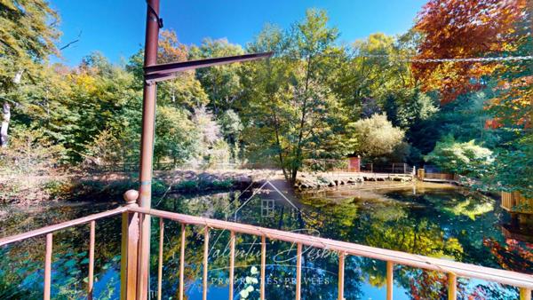 AUDE - AUBERGE - DOMAINE FORESTIER - 5 HECTARES