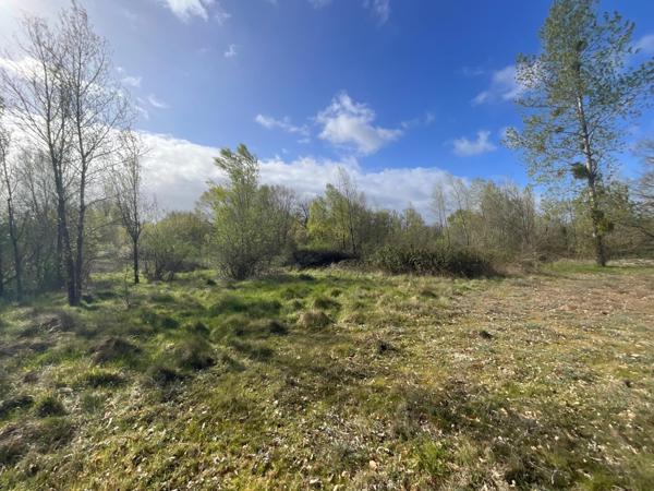 Terrain à St Thorette