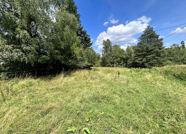 Terrain à vendre    Plaine