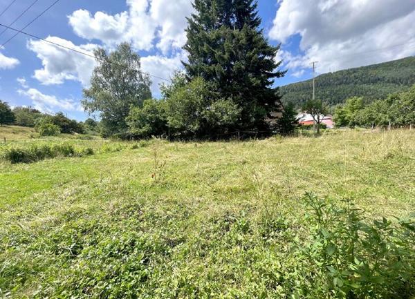 Terrain à vendre    Plaine