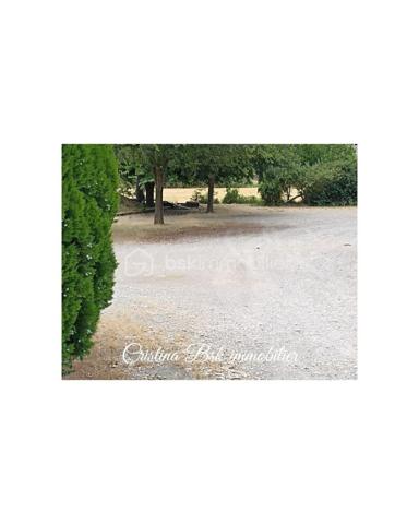 Local commercial de 270 m²