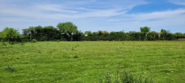 TERRAIN A BATIR DE 4329 M²  à EPUISAY