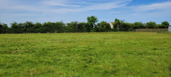 TERRAIN A BATIR DE 4329 M²  à EPUISAY