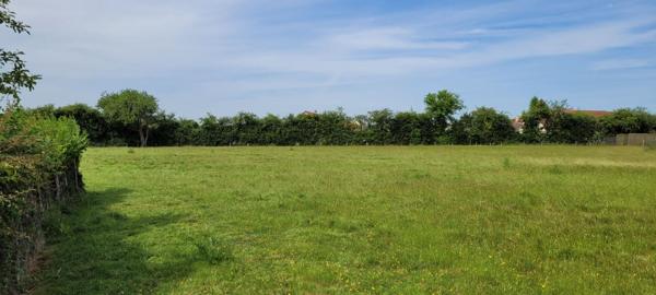 TERRAIN A BATIR DE 4329 M²  à EPUISAY
