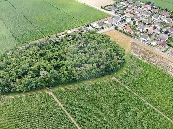 Terrain  en vente - Haut-Rhin - 68