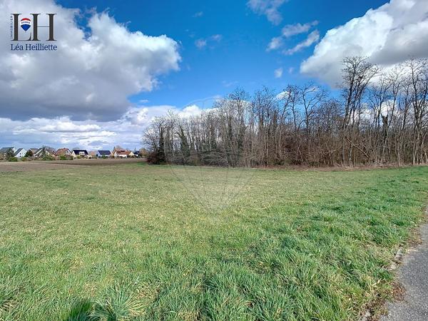 Terrain  en vente - Haut-Rhin - 68