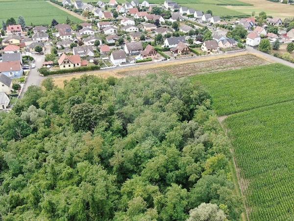 Terrain  en vente - Haut-Rhin - 68