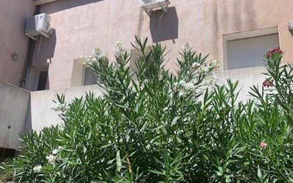 Appartement à louer    1 pièce •  Nîmes