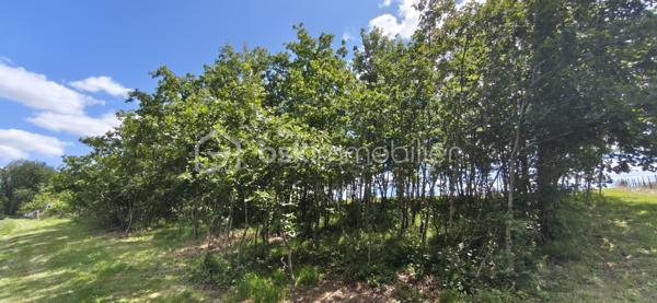 Vends terrain constructible au calme de 1760 m2. Entre vue et forêt, à moins de 20 minutes de Montauban et 30 minutes de Gaillac, proche de toutes commodités (3minutes de Monclar de Quercy) ce terrain vous offrira un lieu reposant et très agréable.
A visiter sans tarder !

PRIX H.A.I. : 35000 €

Contactez votre conseiller BSK Immobilier :
PIERLOT Corentin - Agent commercial immatriculé au RSAC d'Albi sous le numéro 521641936.

INFORMATIONS ET VISITES : 0621220824