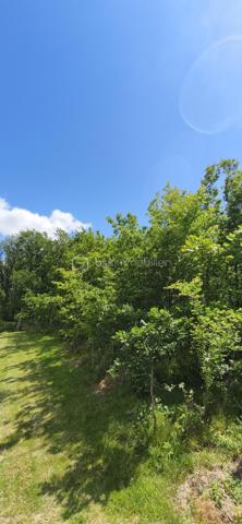 Vends terrain constructible au calme de 1760 m2. Entre vue et forêt, à moins de 20 minutes de Montauban et 30 minutes de Gaillac, proche de toutes commodités (3minutes de Monclar de Quercy) ce terrain vous offrira un lieu reposant et très agréable.
A visiter sans tarder !

PRIX H.A.I. : 35000 €

Contactez votre conseiller BSK Immobilier :
PIERLOT Corentin - Agent commercial immatriculé au RSAC d'Albi sous le numéro 521641936.

INFORMATIONS ET VISITES : 0621220824