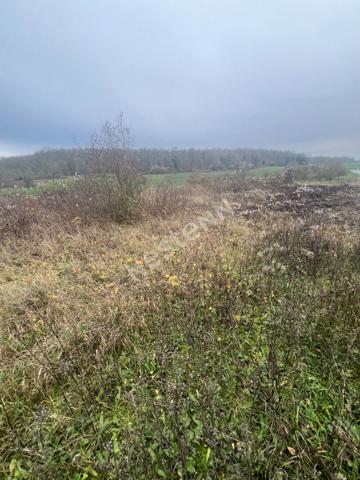 Prouvais - Terrain à bâtir - 576m² constructible