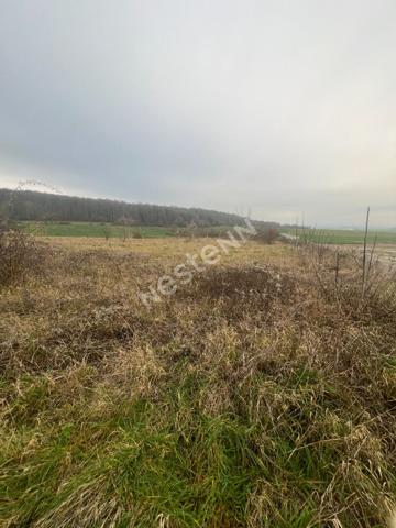 Prouvais - Terrain à bâtir - 576m² constructible