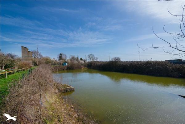 Maison à vendre |  Léguevin |  4 pièces | 210 m²