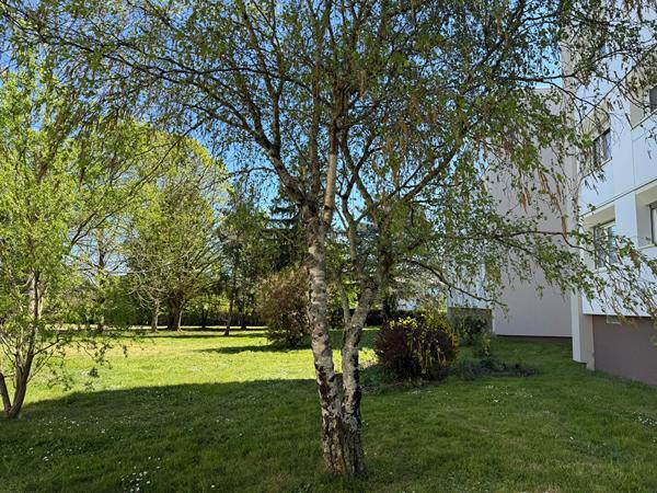 SAINT BENOIT: L'ÉCO-VERT , Saint benoit