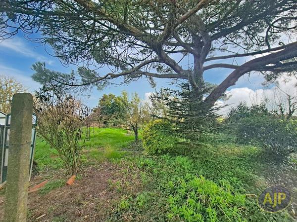 Vente maison Montaigu : 129 000 € - AJP Immobilier Montaigu