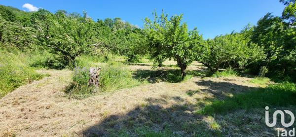 Maison à vendre 13 pièces 300 m² Saint-Laurent-de-Cerdans