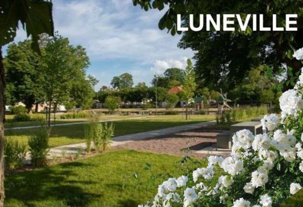 Appartement à vendre 2 pièces LUNEVILLE (54) APPARTEMENT T2 de 45 m2 avec TERRASSE et CABANON