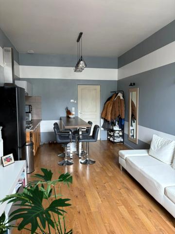 Appartement à vendre 2 pièces LUNEVILLE (54) APPARTEMENT T2 de 45 m2 avec TERRASSE et CABANON